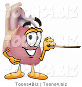 Illustration of a Cartoon Human Heart Mascot Holding a Pointer Stick by Mascot Junction