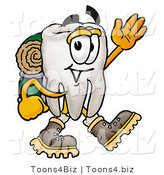 Illustration of a Cartoon Tooth Mascot Hiking and Carrying a Backpack by Mascot Junction