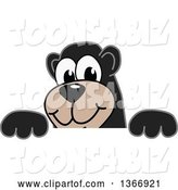 Vector Illustration of a Cartoon Black Bear School Mascot Looking over a Sign by Mascot Junction