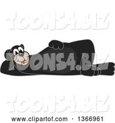 Vector Illustration of a Cartoon Black Bear School Mascot Resting on His Side by Mascot Junction