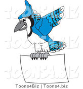 Vector Illustration of a Cartoon Blue Jay Mascot Flying a Blank Sign by Mascot Junction