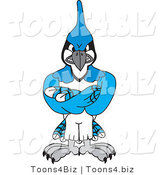 Vector Illustration of a Cartoon Blue Jay Mascot with Crossed Arms by Mascot Junction