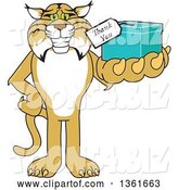 Vector Illustration of a Cartoon Bobcat Mascot Holding up a Thank You Gift, Symbolizing Gratitude by Mascot Junction