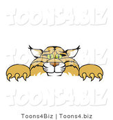 Vector Illustration of a Cartoon Bobcat Mascot Looking over a Sign by Mascot Junction