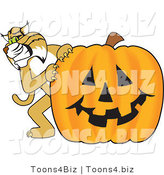 Vector Illustration of a Cartoon Bobcat Mascot with a Pumpkin by Mascot Junction