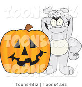 Vector Illustration of a Cartoon Bulldog Mascot with a Halloween Jackolantern by Mascot Junction