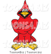 Vector Illustration of a Cartoon Cardinal Mascot with Crossed Arms by Mascot Junction
