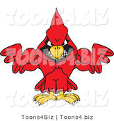 Vector Illustration of a Cartoon Cardinal Mascot with Strong Arms by Mascot Junction