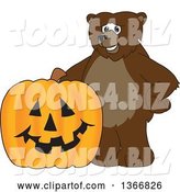 Vector Illustration of a Cartoon Grizzly Bear School Mascot with a Halloween Jackolantern Pumpkin by Mascot Junction