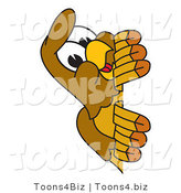 Vector Illustration of a Cartoon Hawk Mascot Character Peeking by Mascot Junction