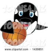 Vector Illustration of a Cartoon Killer Whale Orca Mascot Grabbing a Basketball by Mascot Junction