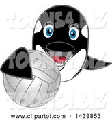 Vector Illustration of a Cartoon Killer Whale Orca Mascot Grabbing a Volleyball by Mascot Junction