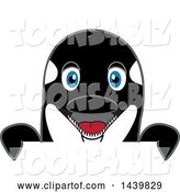 Vector Illustration of a Cartoon Killer Whale Orca Mascot Looking over a Sign by Mascot Junction