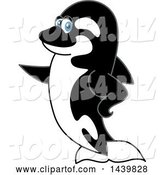 Vector Illustration of a Cartoon Killer Whale Orca Mascot Pointing by Mascot Junction