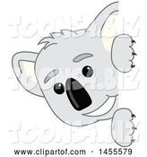 Vector Illustration of a Cartoon Koala Bear Mascot Peeking Around a Sign by Mascot Junction