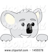 Vector Illustration of a Cartoon Koala Bear Mascot Peeking over a Sign by Mascot Junction