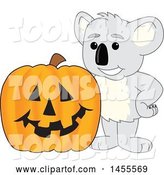Vector Illustration of a Cartoon Koala Bear Mascot with a Halloween Jackolantern Pumpkin by Mascot Junction