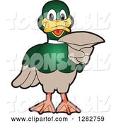 Vector Illustration of a Cartoon Mallard Duck School Mascot Pointing Outwards by Mascot Junction