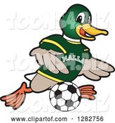 Vector Illustration of a Cartoon Mallard Duck School Sports Mascot Playing Soccer by Mascot Junction