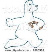 Vector Illustration of a Cartoon Polar Bear School Mascot Running with an American Football by Mascot Junction