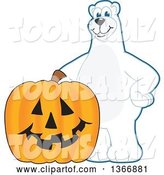 Vector Illustration of a Cartoon Polar Bear School Mascot with a Halloween Jackolantern Pumpkin by Mascot Junction