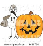 Vector Illustration of a Cartoon Sandpiper Bird School Mascot with a Halloween Pumpkin by Mascot Junction