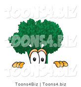 Vector Illustration of a Cartoon Scared Broccoli Mascot Peeking over a Surface by Mascot Junction