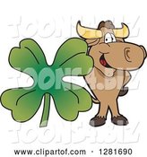 Vector Illustration of a Cartoon School Bull Mascot Standing with a Giant Four Leaf St Patricks Day Clover Shamrock by Mascot Junction
