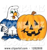 Vector Illustration of a Cartoon Seahawk Mascot by a Halloween Jackolantern Pumpkin by Mascot Junction
