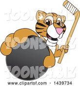 Vector Illustration of a Cartoon Tiger Cub Mascot Grabbing a Hockey Puck and Holding a Stick by Mascot Junction