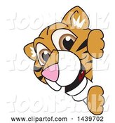 Vector Illustration of a Cartoon Tiger Cub Mascot Looking Around a Sign by Mascot Junction