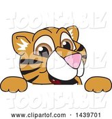 Vector Illustration of a Cartoon Tiger Cub Mascot Looking over a Sign by Mascot Junction