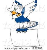 Vector Illustration of a Cartoon Tough Seahawk Mascot Flying with a Blank Sign by Mascot Junction