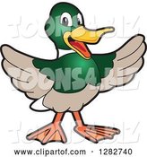 Vector Illustration of a Cartoon Welcoming Mallard Duck School Mascot by Mascot Junction