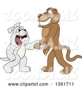 Vector Illustration of a Cougar School Mascot Shaking Hands with a Bulldog, Symbolizing Acceptance by Mascot Junction