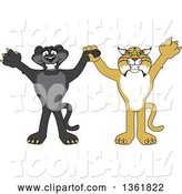 Vector Illustration of Black Panther and Bobcat School Mascots Holding Hands and Cheering, Symbolizing Sportsmanship by Mascot Junction