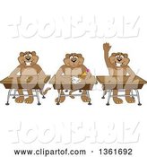 Vector Illustration of Cougar School Mascots Sitting at Desks, One Raising His Hand, Symbolizing Respect by Mascot Junction