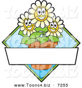 Vector Logo of Happy Cartoon Daisy Flowers in a Pot with Blank Copyspace by Mascot Junction