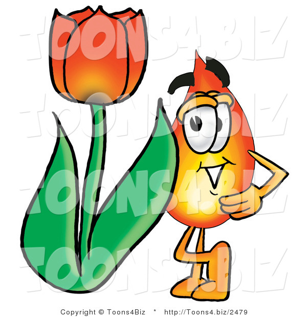 Illustration of a Cartoon Fire Droplet Mascot with a Red Tulip Flower in the Spring