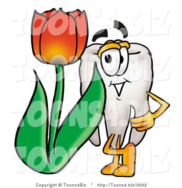 Illustration of a Cartoon Tooth Mascot with a Red Tulip Flower in the Spring