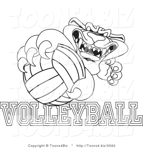 Line Art Vector Illustration of a Cartoon Panther Mascot with Volleyball Text