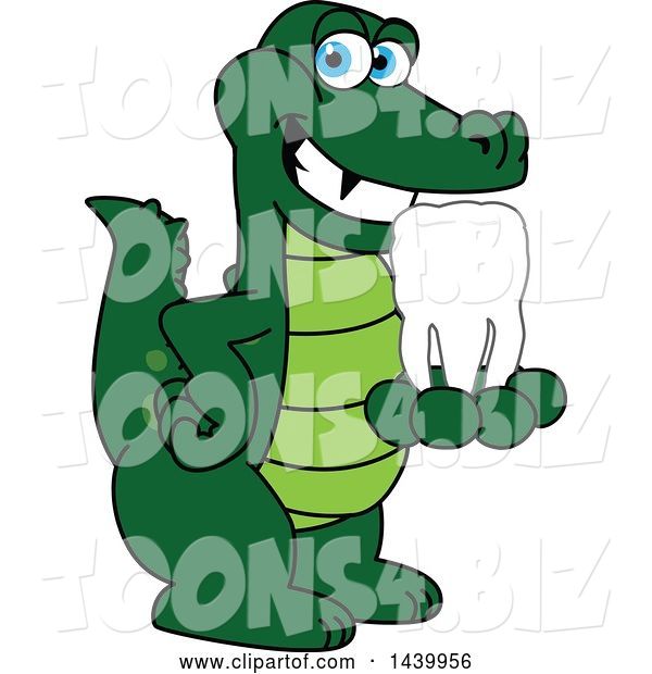 Vector Illustration of a Cartoon Alligator Mascot Holding a Tooth