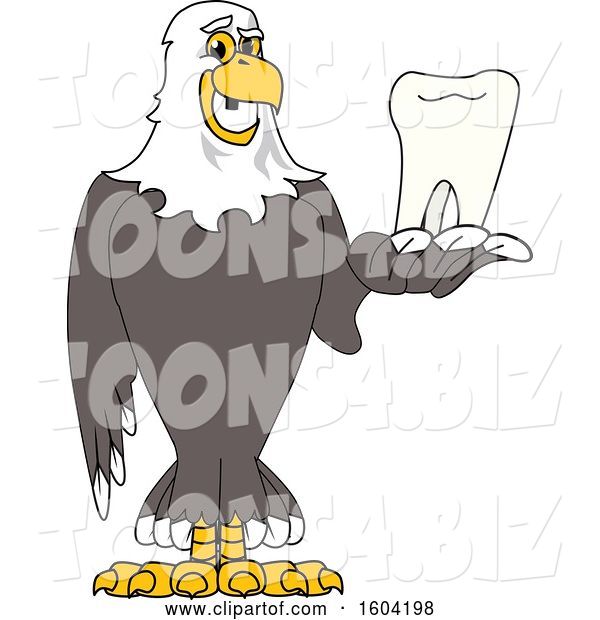 Vector Illustration of a Cartoon Bald Eagle Mascot Holding a Tooth