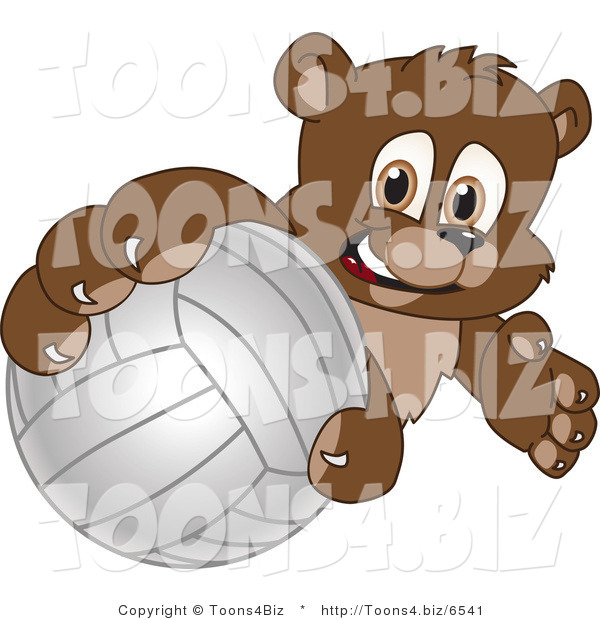 Vector Illustration of a Cartoon Bear Mascot Grabbing a Volleyball