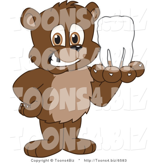 Vector Illustration of a Cartoon Bear Mascot Holding a Tooth