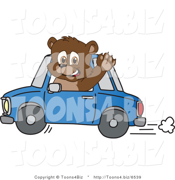 Vector Illustration of a Cartoon Bear Mascot Waving and Driving a Car