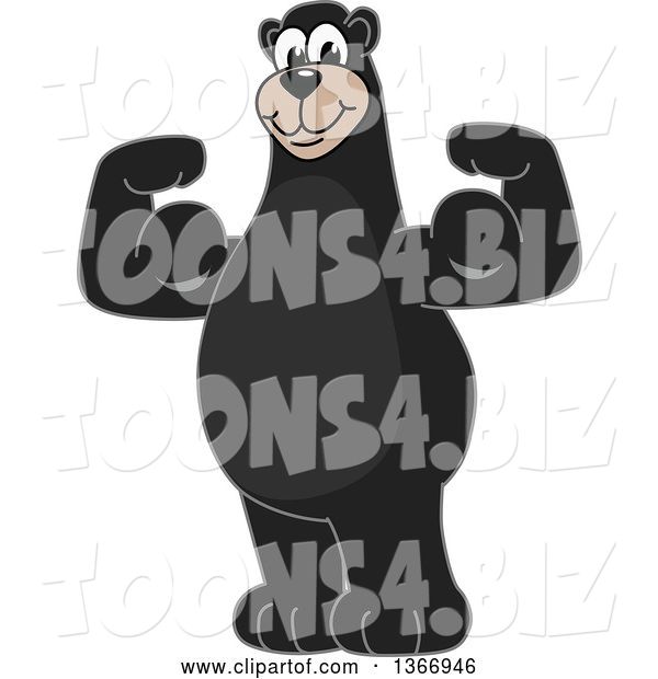 Vector Illustration of a Cartoon Black Bear School Mascot Flexing His Arm Muscles