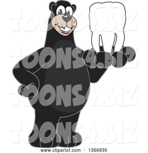 Vector Illustration of a Cartoon Black Bear School Mascot Holding a Tooth