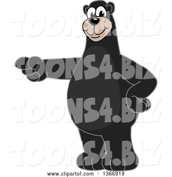 Vector Illustration of a Cartoon Black Bear School Mascot Pointing