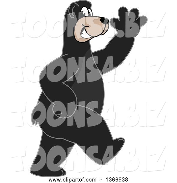Vector Illustration of a Cartoon Black Bear School Mascot Walking and Waving